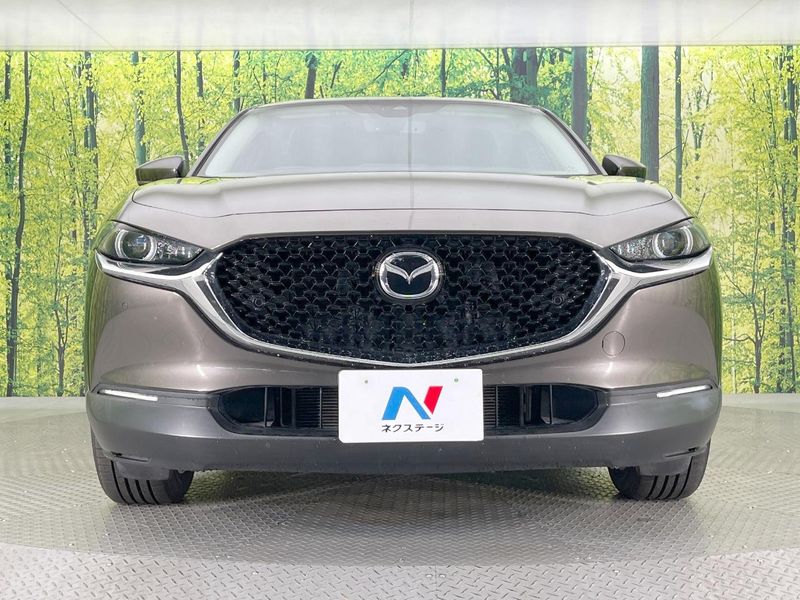 2020 Mazda CX-30 5BA-DMEP (UW-6a41e131697c2)[14]