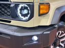 2025 Toyota Land Cruiser 70 3DA-GDJ76W (UW-6a41e149ab0a4)[11]