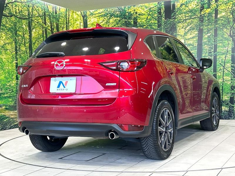 2017 Mazda CX-5 LDA-KF2P (UW-6a41e1b411b4c)[9]