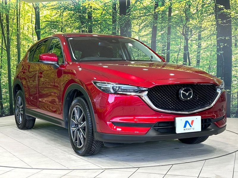 2017 Mazda CX-5 LDA-KF2P (UW-6a41e1b411b4c)[11]