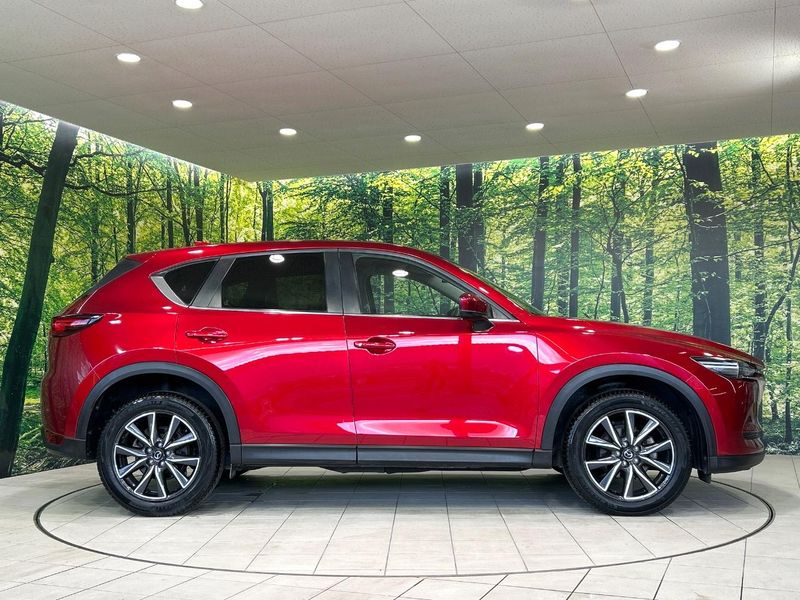 2017 Mazda CX-5 LDA-KF2P (UW-6a41e1b411b4c)[10]