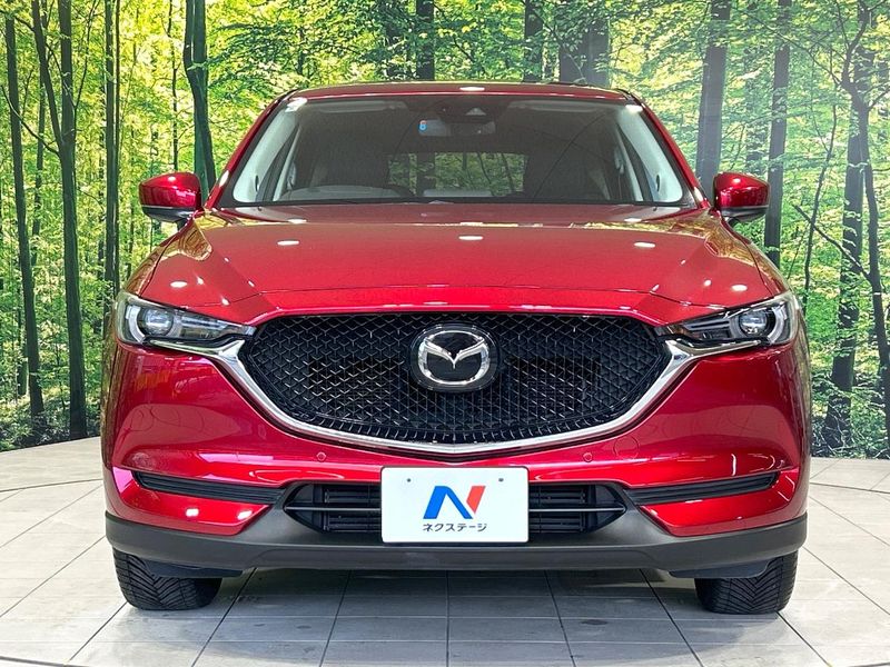 2017 Mazda CX-5 LDA-KF2P (UW-6a41e1b411b4c)[4]