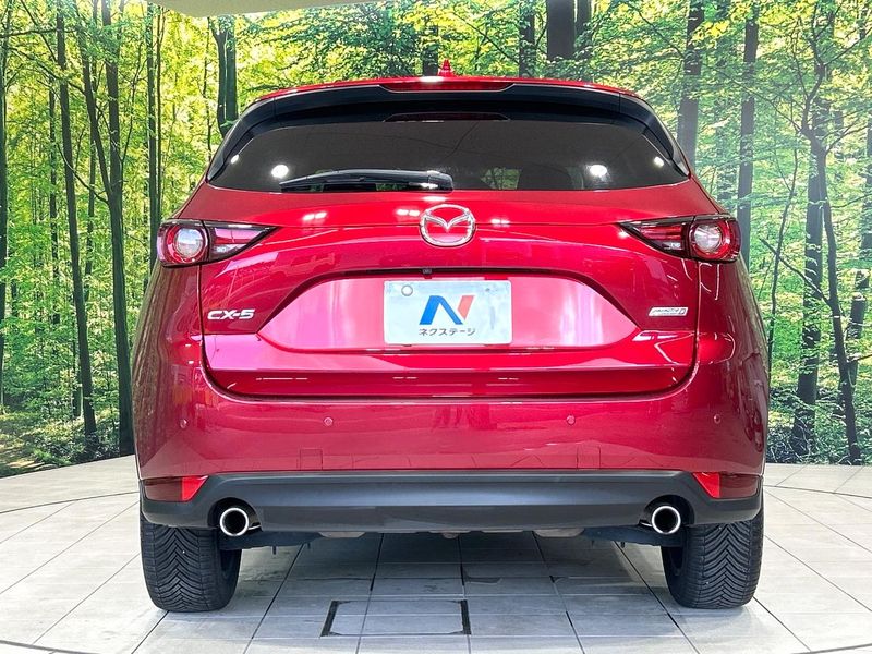 2017 Mazda CX-5 LDA-KF2P (UW-6a41e1b411b4c)[8]