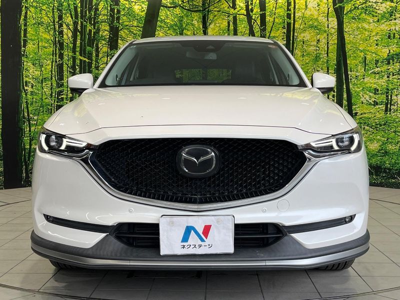 2017 Mazda CX-5 LDA-KF2P (UW-6a45d679ee13a)[17]