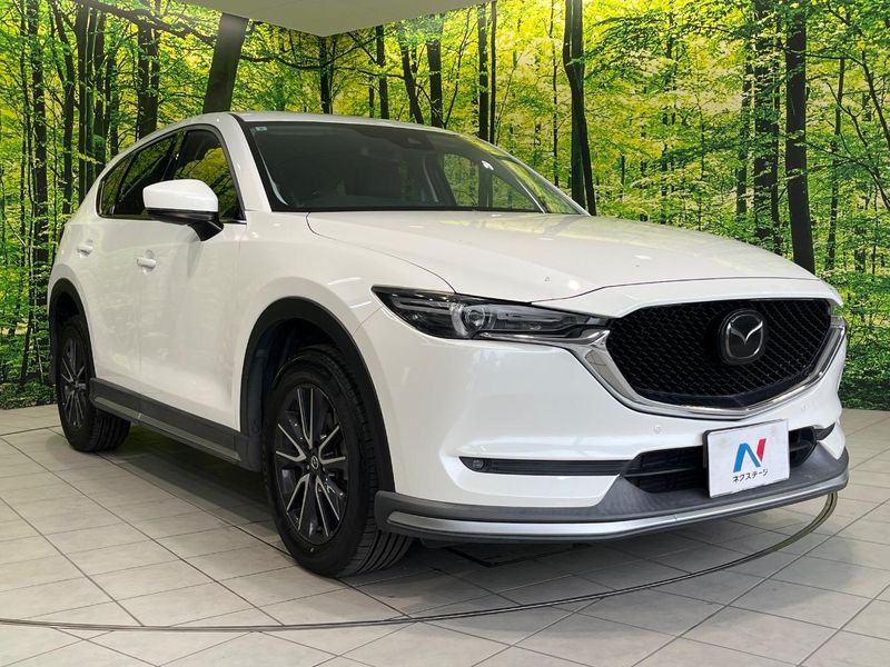2017 Mazda CX-5 LDA-KF2P (UW-6a45d679ee13a)[19]