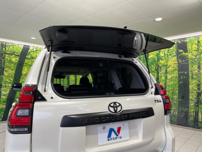 2023 Toyota Land Cruiser Prado 3BA-TRJ150W (UW-6a45d77749b1f)[13]