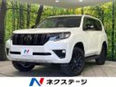 2023 Toyota Land Cruiser Prado 3BA-TRJ150W (UW-6a45d77be9b97)[3]