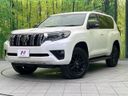 2023 Toyota Land Cruiser Prado 3BA-TRJ150W (UW-6a4729102cecb)[0]