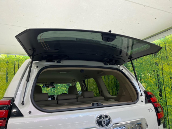 2023 Toyota Land Cruiser Prado 3BA-TRJ150W (UW-6a4729102cecb)[11]