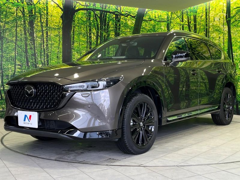 2023 Mazda CX-8 3da-kg2p (UW-6a48a94e89a9d)[24]