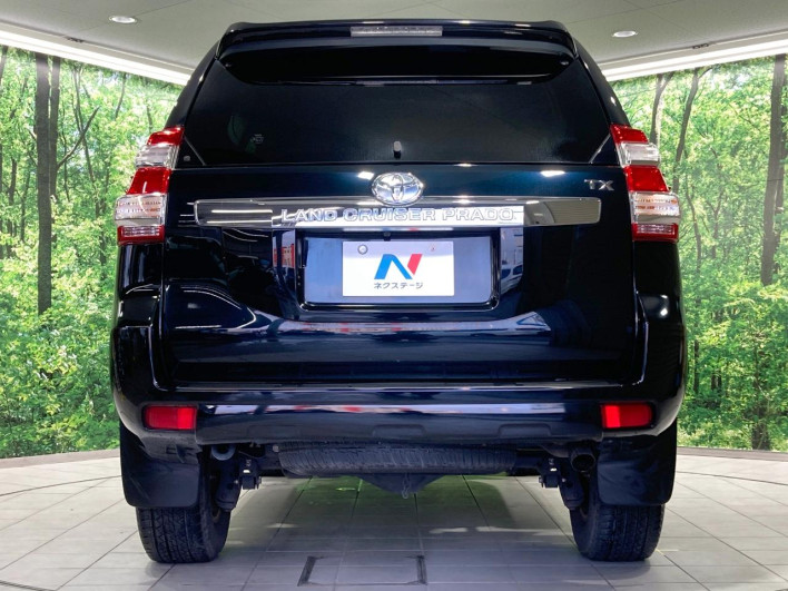 2016 Toyota Land Cruiser Prado CBA-TRJ150W (UW-6a48aafe9cffd)[16]