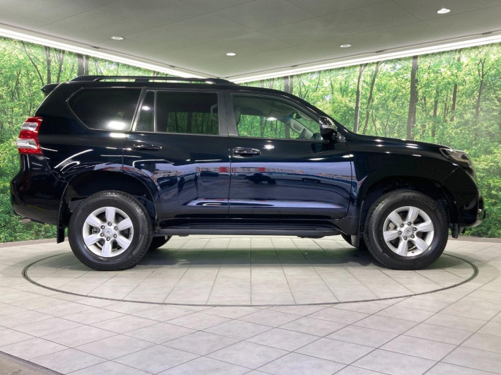 2016 Toyota Land Cruiser Prado CBA-TRJ150W (UW-6a48aafe9cffd)[7]