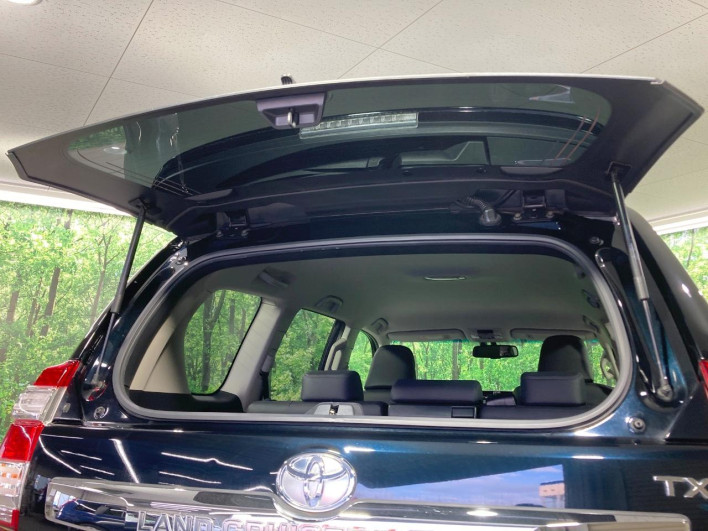 2016 Toyota Land Cruiser Prado CBA-TRJ150W (UW-6a48aafe9cffd)[11]