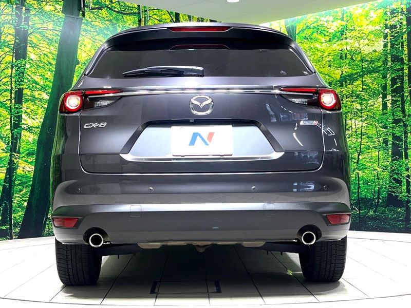 2018 Mazda CX-8 3da-kg2p (UW-6a4c6e50cd989)[18]
