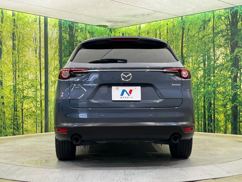 2022 Mazda CX-8 3da-kg2p (UW-6a4c6e54740a4)[16]