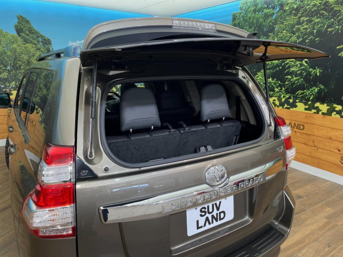 2015 Toyota Land Cruiser Prado LDA-GDJ150W (UW-6a4dbee008939)[10]
