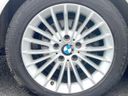 2014 BMW 3 Series LDA-3D20 (UW-6a4dc15e03056)[15]