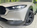 2025 Mazda CX-30 5AA-DMEJ3R (UW-6a4f101700771)[9]