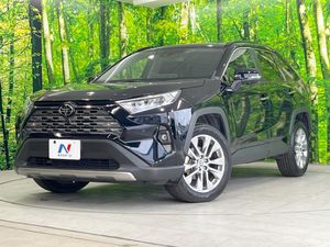 2025 Toyota RAV4 6BA-MXAA54