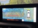 2025 Toyota Land Cruiser 250 3DA-GDJ250W (UW-6a506209da136)[28]