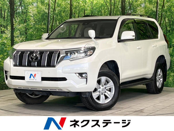 2023 Toyota Land Cruiser Prado 3BA-TRJ150W (UW-6a5064ade660c)[3]