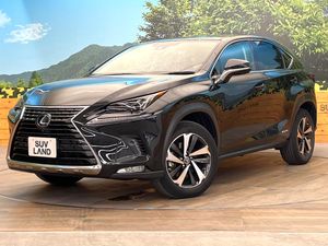2021 Lexus NX 6AA-AYZ10