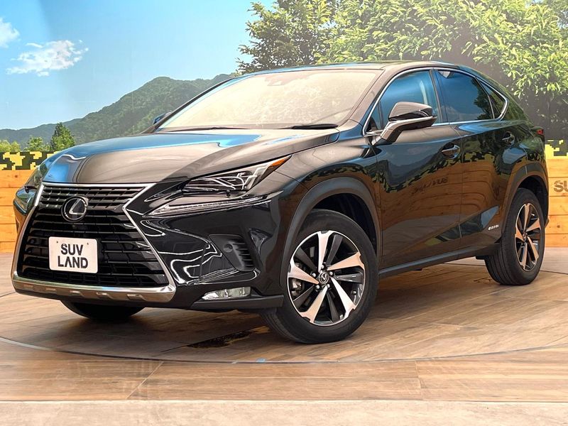 2021 Lexus NX 6AA-AYZ10 (UW-6a51b2d5ea9ff)[0]