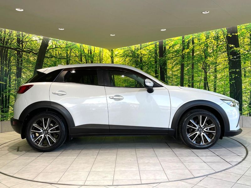 2015 Mazda CX-3 LDA-DK5FW (UW-6a5304b401c87)[21]