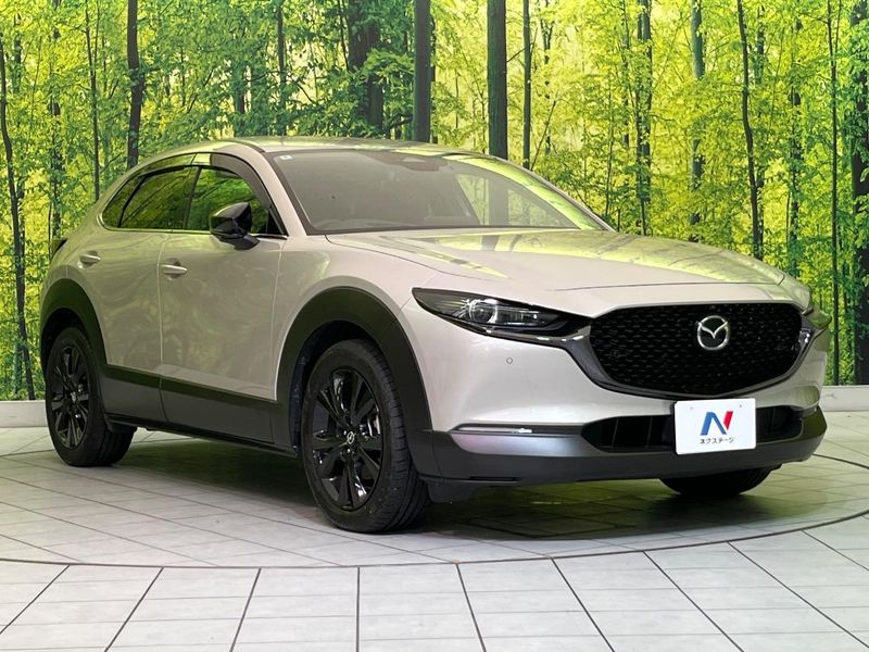 2024 Mazda CX-30 3DA-DM8R (UW-6a5304b6a093e)[10]