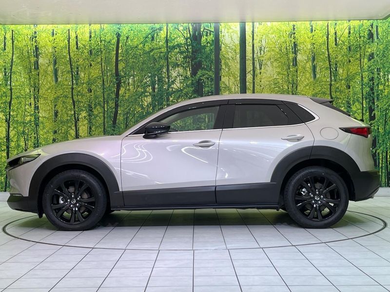 2024 Mazda CX-30 3DA-DM8R (UW-6a5304b6a093e)[5]