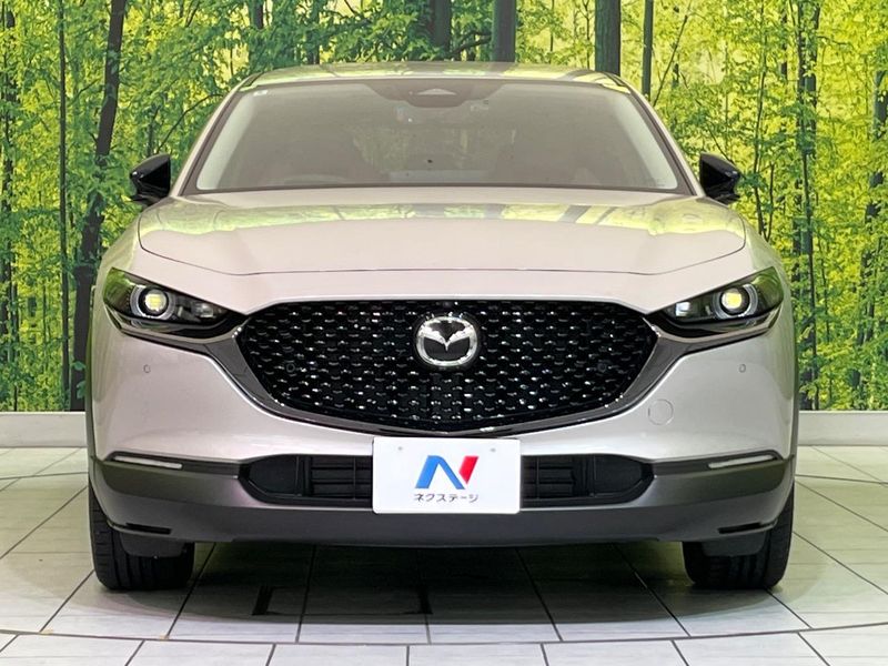 2024 Mazda CX-30 3DA-DM8R (UW-6a5304b6a093e)[11]