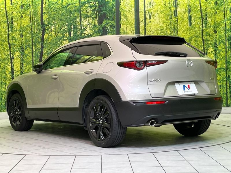 2024 Mazda CX-30 3DA-DM8R (UW-6a5304b6a093e)[6]