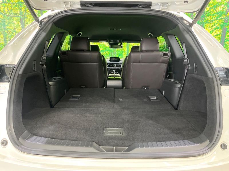 2017 Mazda CX-8 3da-kg2p (UW-6a5305acd2e5b)[10]