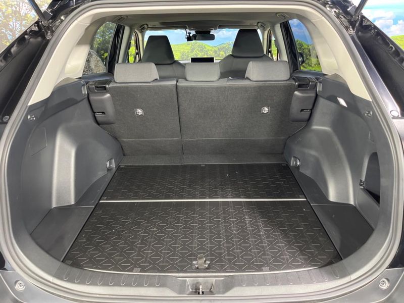 2023 Toyota RAV4 6BA-MXAA52 (UW-6a530681041da)[14]