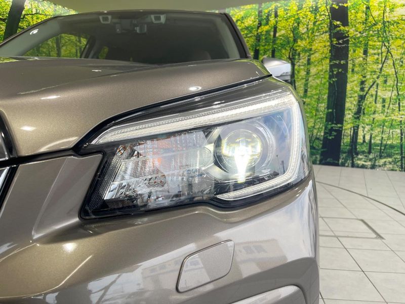 2019 Subaru Forester 5AA-SKE (UW-6a5307300458e)[13]