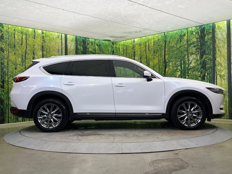 2019 Mazda CX-8 3da-kg2p (UW-6a545739ab03f)[18]