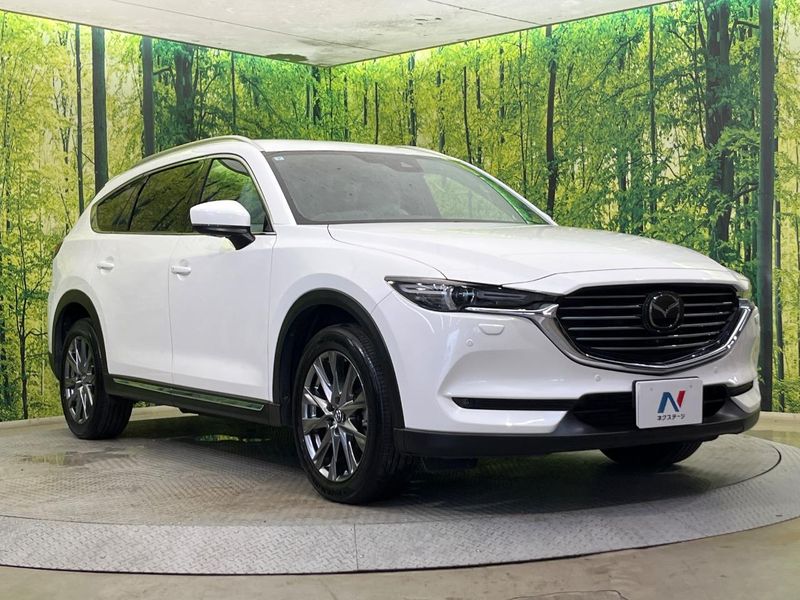 2019 Mazda CX-8 3da-kg2p (UW-6a545739ab03f)[19]