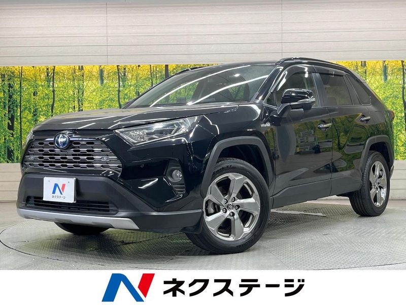 2019 Toyota RAV4 6AA-AXAH54 (UW-6a55a74d8a844)[3]