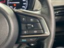 2023 Subaru Crosstrek 5AA-GUE (UW-6a55a824ac6c5)[9]