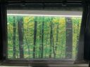 2023 Honda N-BOX 6BA-JF3 (UW-6a55a88dd10a8)[27]