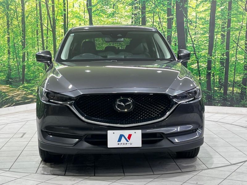 2017 Mazda CX-5 LDA-KF2P (UW-6a55a8b96b437)[5]