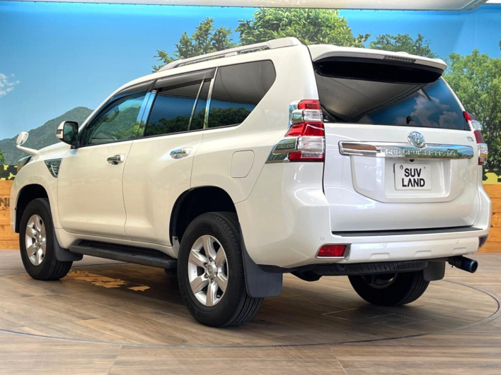2013 Toyota Land Cruiser Prado CBA-TRJ150W (UW-6a55aa651e26a)[6]