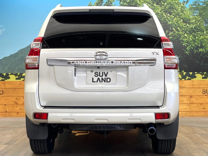 2013 Toyota Land Cruiser Prado CBA-TRJ150W (UW-6a55aa651e26a)[4]