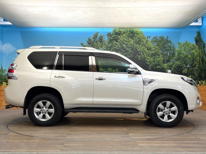2013 Toyota Land Cruiser Prado CBA-TRJ150W (UW-6a55aa651e26a)[10]