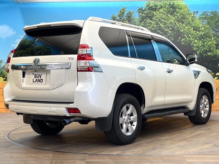 2013 Toyota Land Cruiser Prado CBA-TRJ150W (UW-6a55aa651e26a)[5]