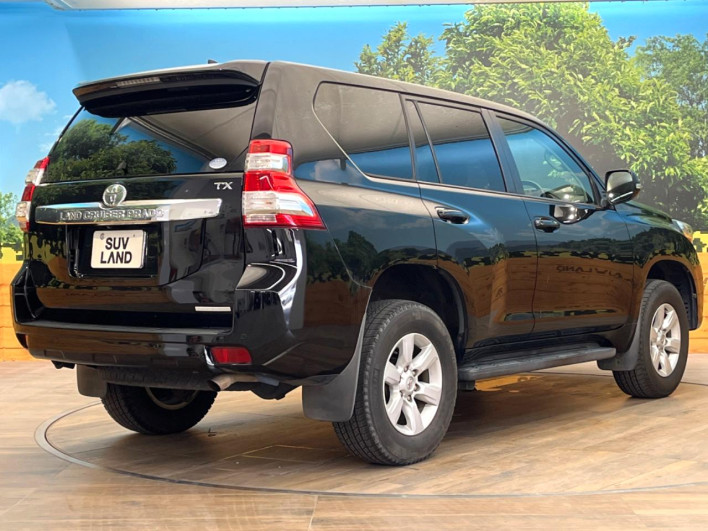 2016 Toyota Land Cruiser Prado CBA-TRJ150W (UW-6a55aa652922a)[5]