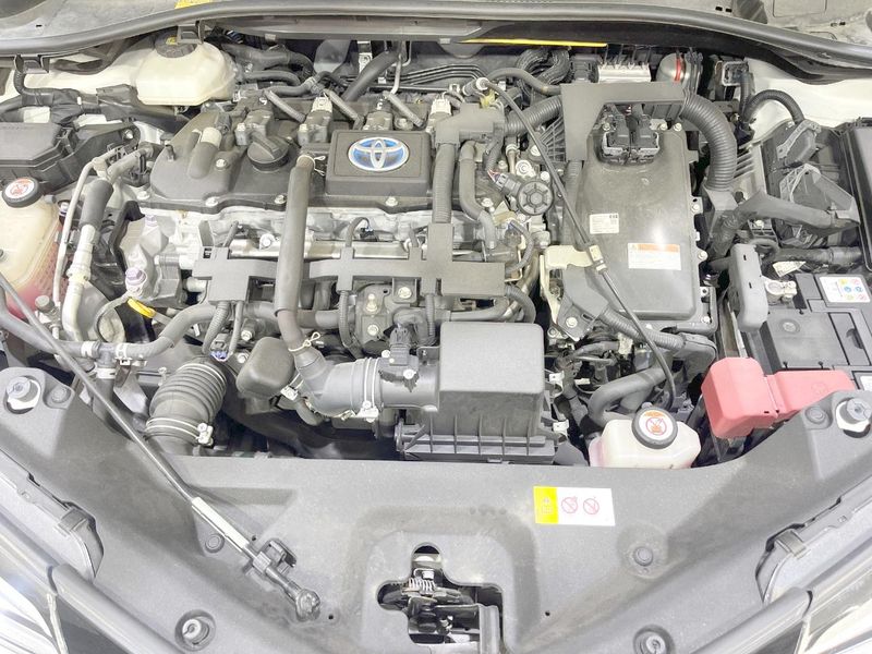 2017 Toyota C-HR DAA-ZYX10 (UW-6a55ab11b7d04)[10]