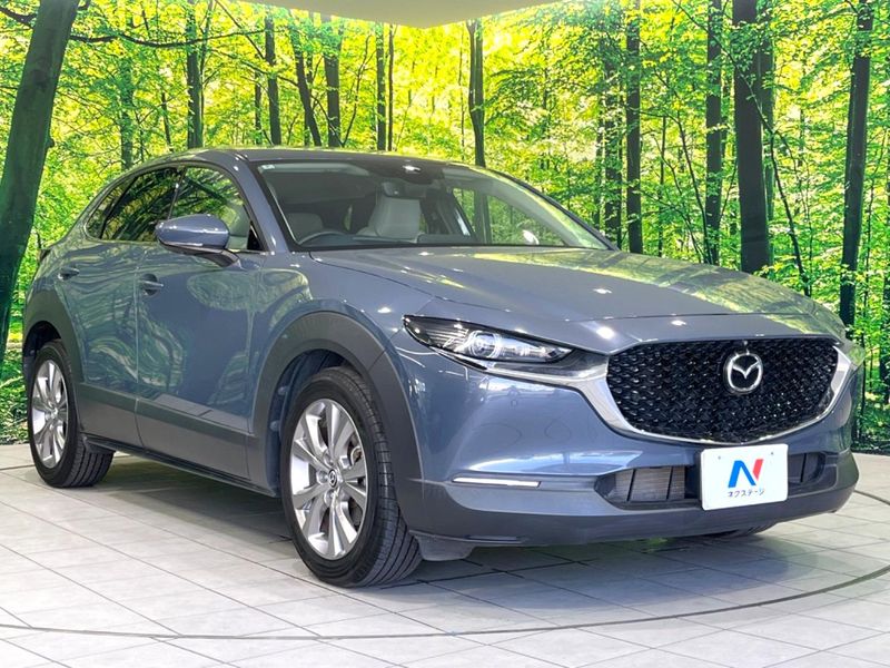 2020 Mazda CX-30 5BA-DMEP (UW-6a56f96a5b941)[19]