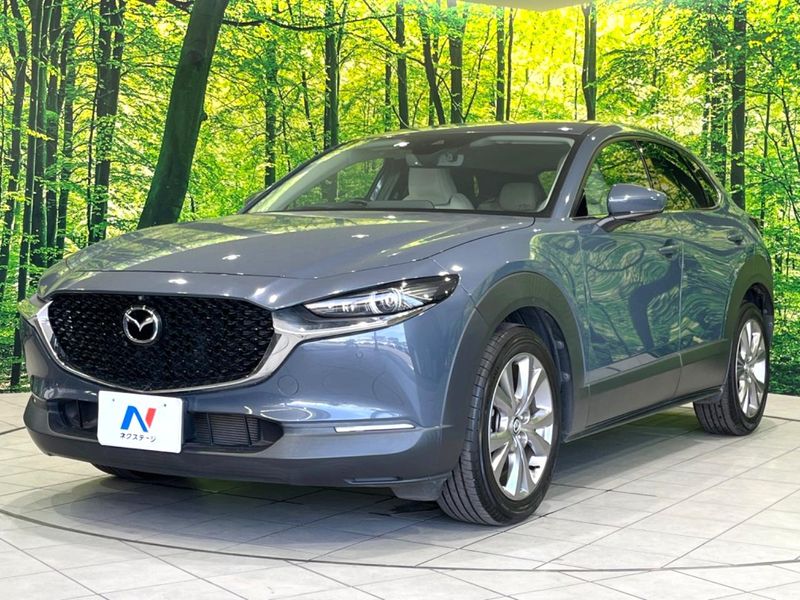 2020 Mazda CX-30 5BA-DMEP (UW-6a56f96a5b941)[17]
