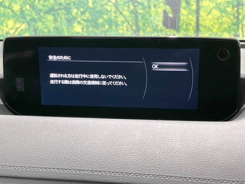 2021 Mazda MX-30 5AA-DREJ3P (UW-6a56f96d3e366)[24]